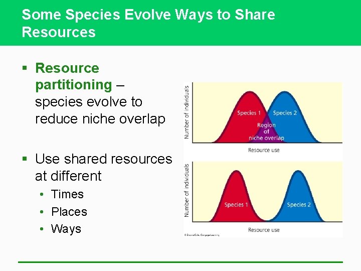 Some Species Evolve Ways to Share Resources § Resource partitioning – species evolve to