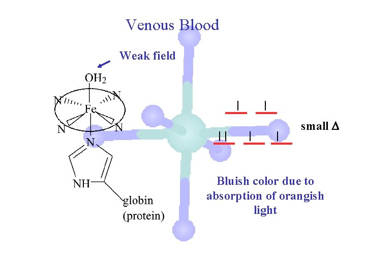 Venous Blood Weak field small Bluish color due to absorption of orangish light 