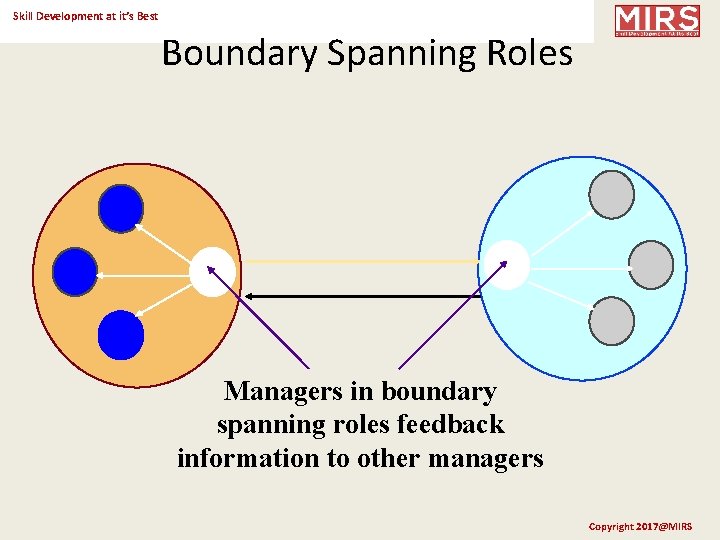Skill Development at it’s Best Boundary Spanning Roles Managers in boundary spanning roles feedback