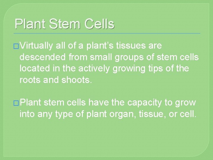 Plant Stem Cells �Virtually all of a plant’s tissues are descended from small groups