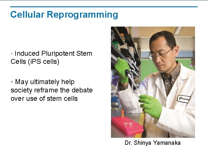 Cellular Reprogramming • Induced Pluripotent Stem Cells (i. PS cells) • May ultimately help