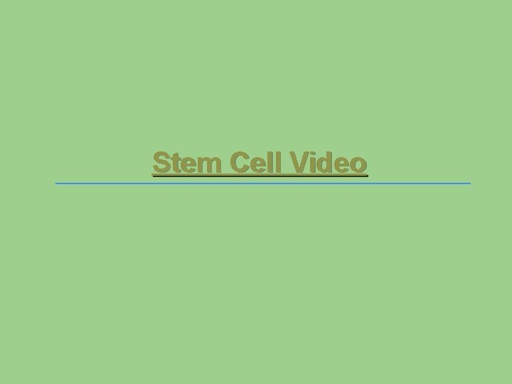 Stem Cell Video 