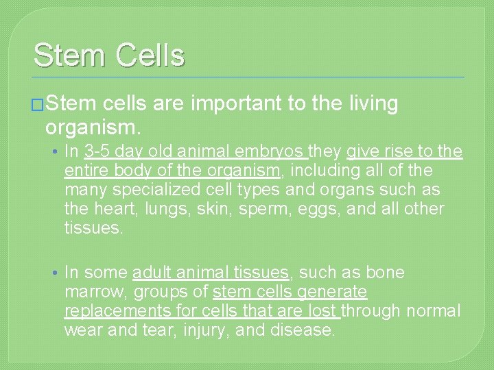 Stem Cells �Stem cells are important to the living organism. • In 3 -5