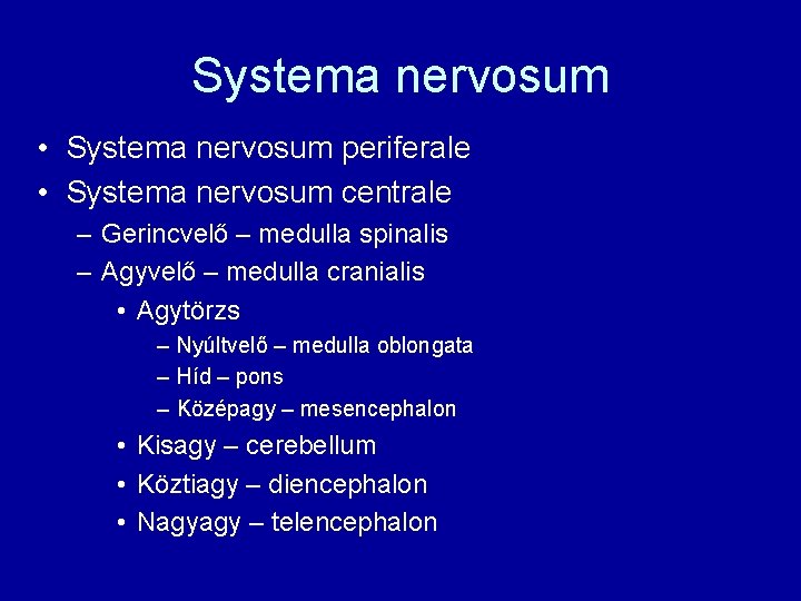 Systema nervosum • Systema nervosum periferale • Systema nervosum centrale – Gerincvelő – medulla
