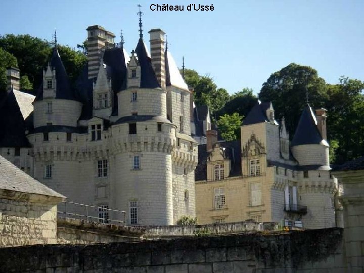 Château d’Ussé 