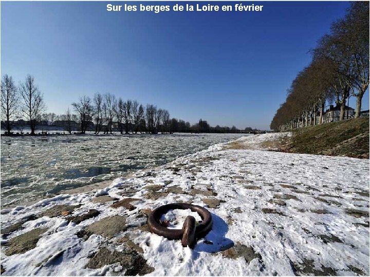 Sur les berges de la Loire en février 