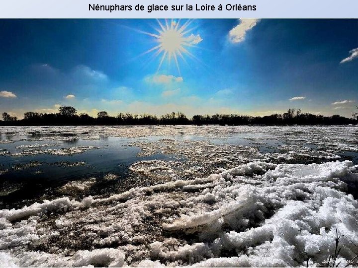 Nénuphars de glace sur la Loire à Orléans 