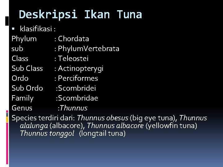 Deskripsi Ikan Tuna klasifikasi : Phylum : Chordata sub : Phylum. Vertebrata Class :