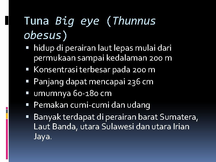 Tuna Big eye (Thunnus obesus) hidup di perairan laut lepas mulai dari permukaan sampai