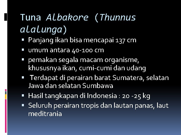 Tuna Albakore (Thunnus alalunga) Panjang ikan bisa mencapai 137 cm umum antara 40 -100