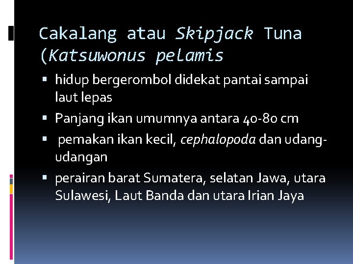 Cakalang atau Skipjack Tuna (Katsuwonus pelamis hidup bergerombol didekat pantai sampai laut lepas Panjang