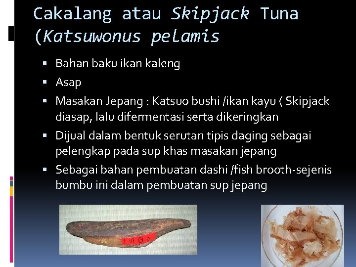 Cakalang atau Skipjack Tuna (Katsuwonus pelamis Bahan baku ikan kaleng Asap Masakan Jepang :