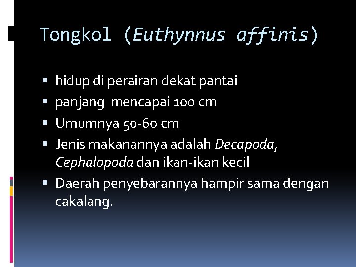 Tongkol (Euthynnus affinis) hidup di perairan dekat pantai panjang mencapai 100 cm Umumnya 50