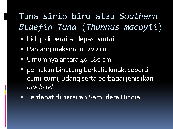 Tuna sirip biru atau Southern Bluefin Tuna (Thunnus macoyii) hidup di perairan lepas pantai