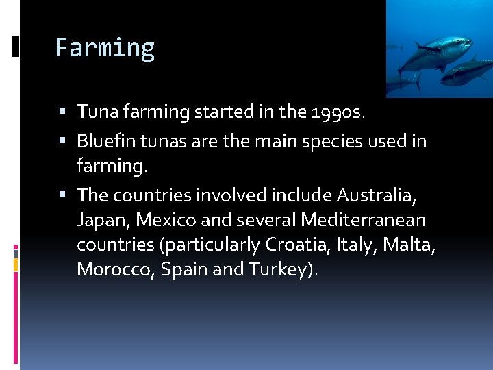Farming Tuna farming started in the 1990 s. Bluefin tunas are the main species