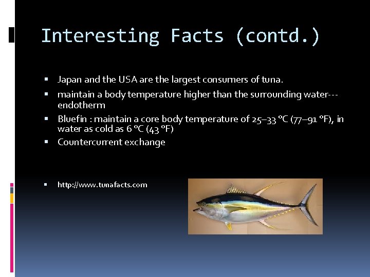 Interesting Facts (contd. ) Japan and the USA are the largest consumers of tuna.