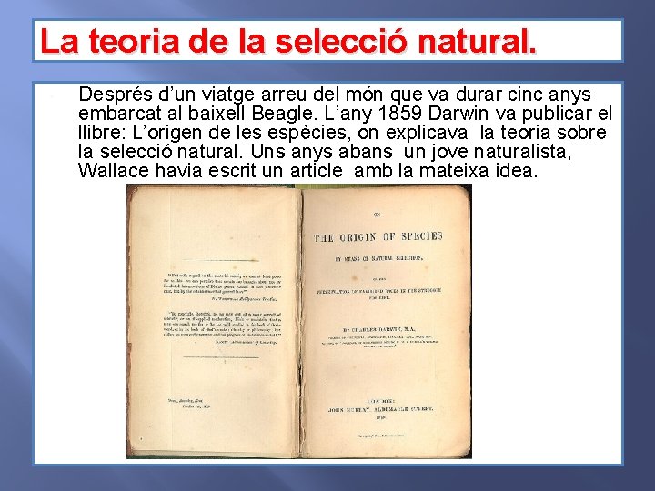 La teoria de la selecció natural. • Després d’un viatge arreu del món que