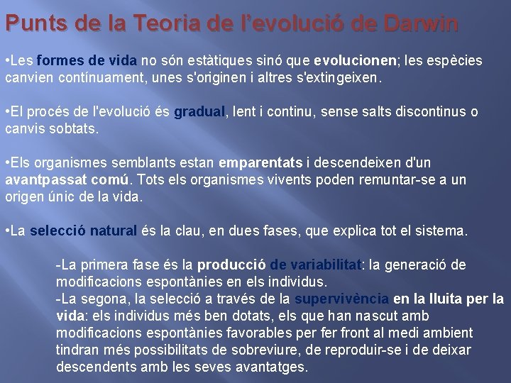 Punts de la Teoria de l’evolució de Darwin • Les formes de vida no