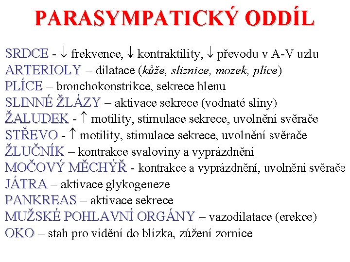 PARASYMPATICKÝ ODDÍL SRDCE - frekvence, kontraktility, převodu v A-V uzlu ARTERIOLY – dilatace (kůže, PARASYMPATICKÝ ODDÍL SRDCE - frekvence, kontraktility, převodu v A-V uzlu ARTERIOLY – dilatace (kůže,