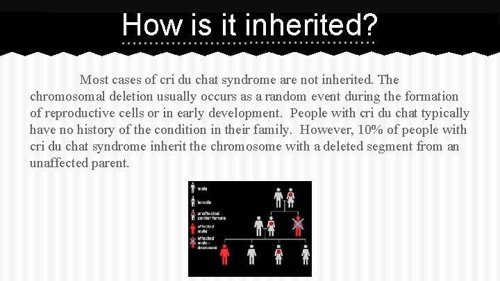 How is it inherited? Most cases of cri du chat syndrome are not inherited.