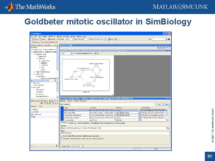 © 2007 The Math. Works Gmb. H Goldbeter mitotic oscillator in Sim. Biology 31