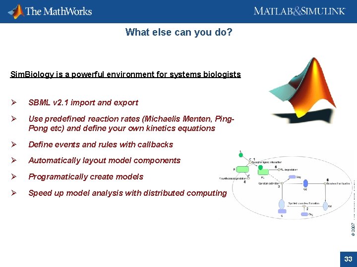 What else can you do? Ø SBML v 2. 1 import and export Ø