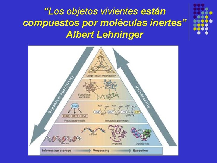 “Los objetos vivientes están compuestos por moléculas inertes” Albert Lehninger 