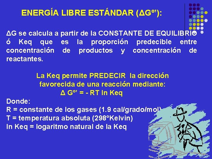 ENERGÍA LIBRE ESTÁNDAR (ΔGº’): ΔG se calcula a partir de la CONSTANTE DE EQUILIBRIO