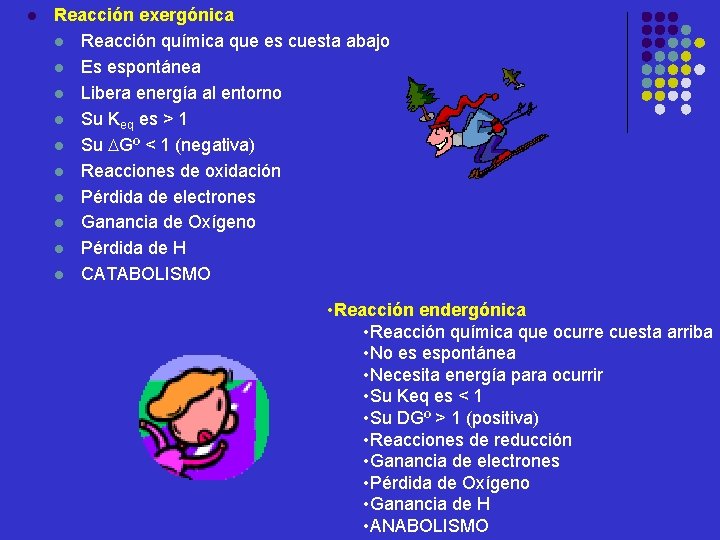 l Reacción exergónica l Reacción química que es cuesta abajo l Es espontánea l