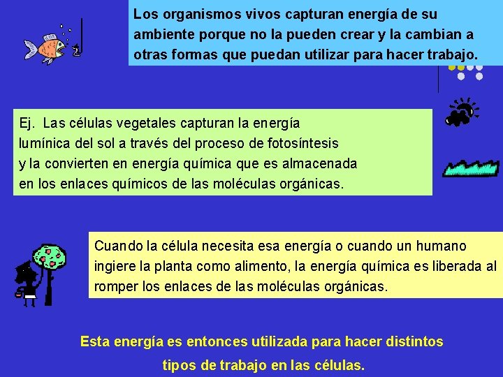 Los organismos vivos capturan energía de su ambiente porque no la pueden crear y