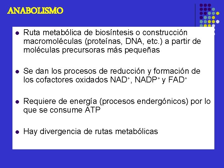ANABOLISMO l Ruta metabólica de biosíntesis o construcción macromoléculas (proteínas, DNA, etc. ) a