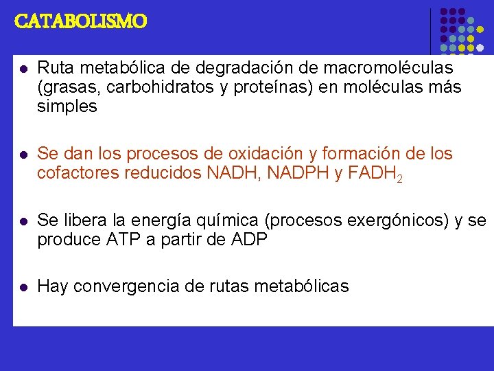 CATABOLISMO l Ruta metabólica de degradación de macromoléculas (grasas, carbohidratos y proteínas) en moléculas