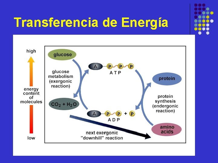 Transferencia de Energía 