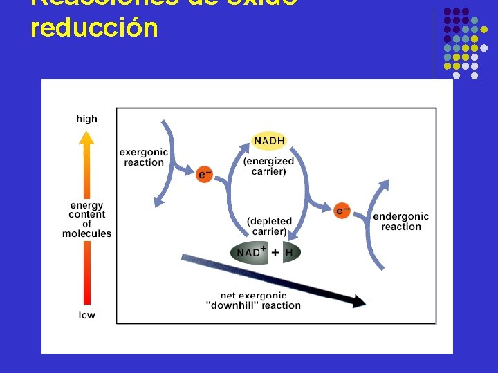 Reacciones de óxidoreducción 