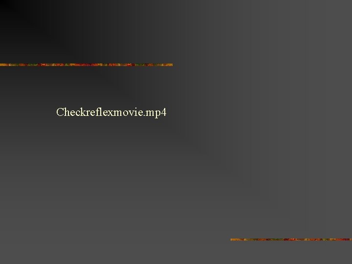 Checkreflexmovie. mp 4 