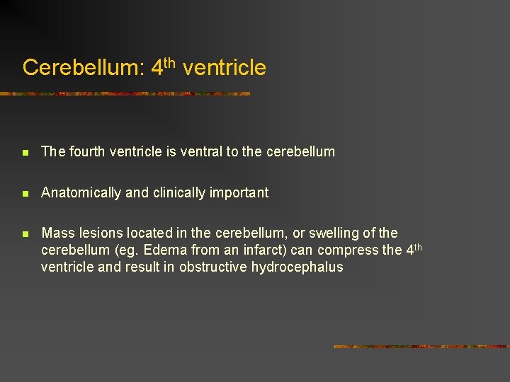Cerebellum: 4 th ventricle n The fourth ventricle is ventral to the cerebellum n