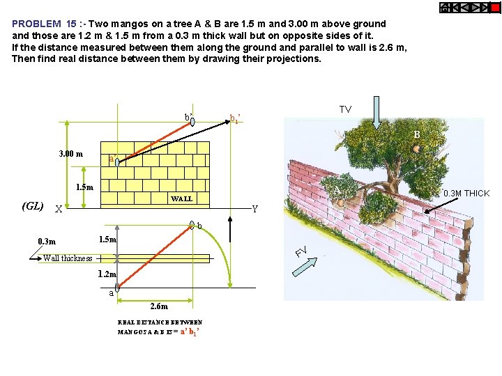 PROBLEM 15 : - Two mangos on a tree A & B are 1.