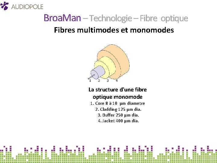 Broa. Man – Technologie – Fibre optique Fibres multimodes et monomodes La structure d'une