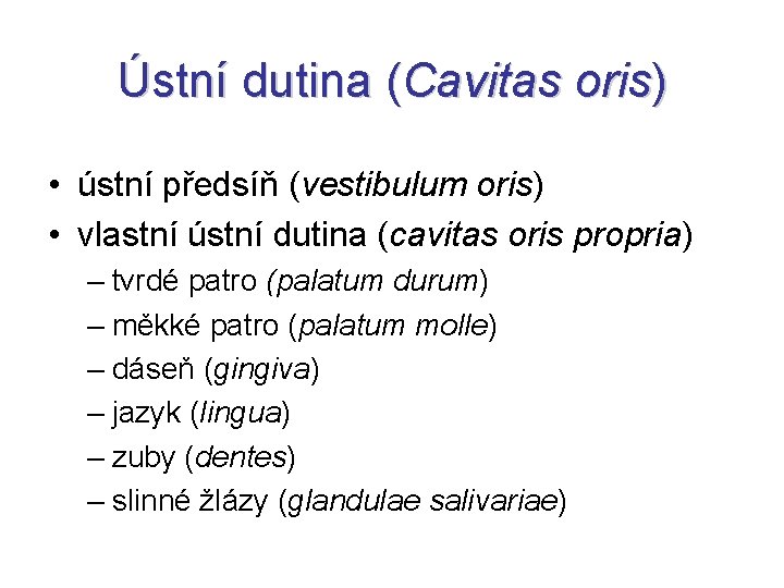 Ústní dutina (Cavitas oris) • ústní předsíň (vestibulum oris) • vlastní ústní dutina (cavitas
