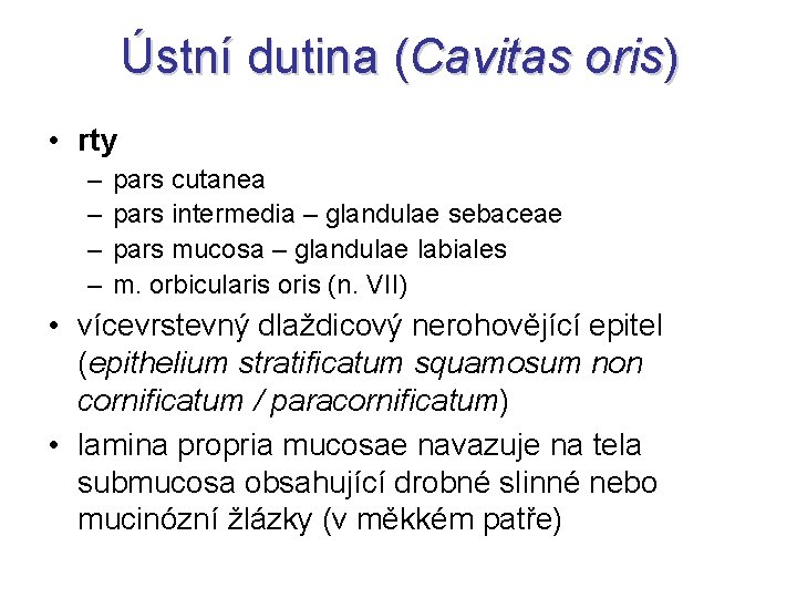 Ústní dutina (Cavitas oris) • rty – – pars cutanea pars intermedia – glandulae