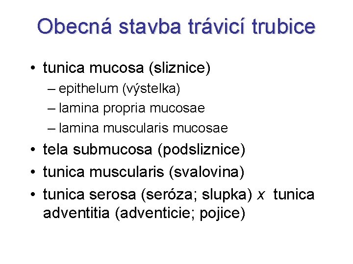 Obecná stavba trávicí trubice • tunica mucosa (sliznice) – epithelum (výstelka) – lamina propria