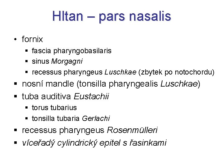 Hltan – pars nasalis • fornix § fascia pharyngobasilaris § sinus Morgagni § recessus