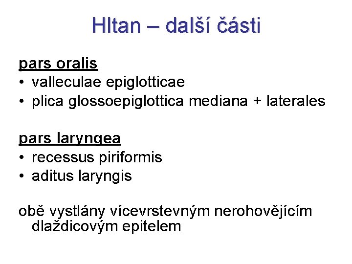 Hltan – další části pars oralis • valleculae epiglotticae • plica glossoepiglottica mediana +
