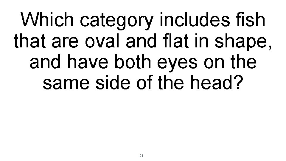 Which category includes fish that are oval and flat in shape, and have both