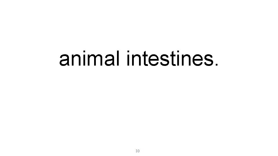 animal intestines. 33 