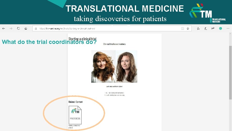 TRANSLATIONAL MEDICINE taking discoveries for patients benefits What do the trial coordinators do? 