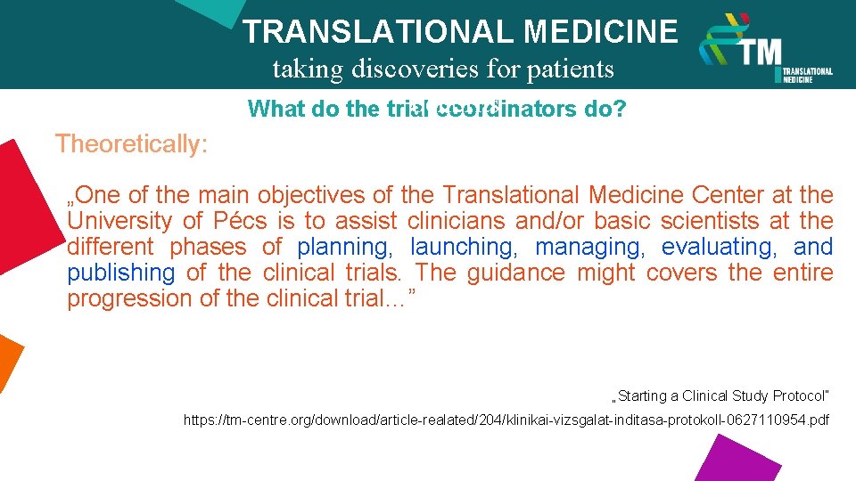 TRANSLATIONAL MEDICINE taking discoveries for patients benefits What do the trial coordinators do? Theoretically: