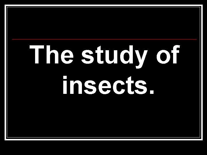 The study of insects. 