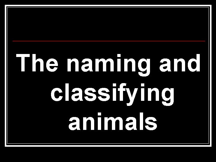 The naming and classifying animals The naming and classifying animals