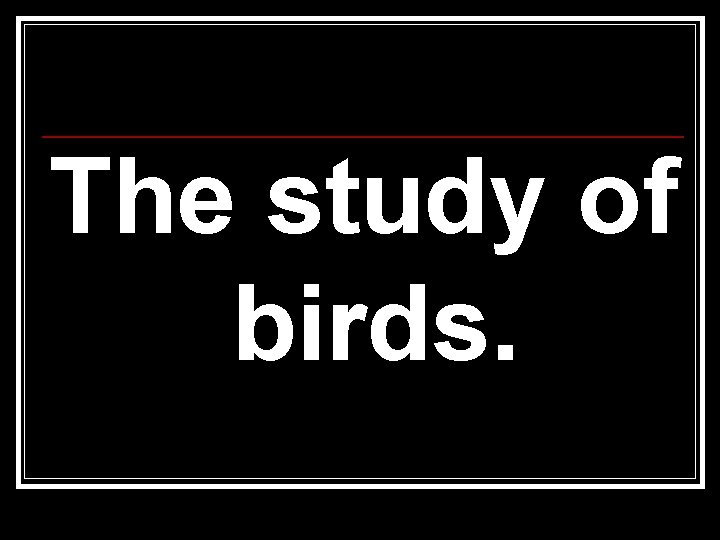 The study of birds. The study of birds.